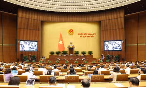 Vi phạm của phương tiện bay siêu nhẹ ngày càng gia tăng