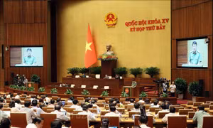 Thông cáo báo chí số 22, Kỳ họp thứ 7, Quốc hội khóa XV