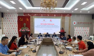 Huy động nguồn lực quốc tế hỗ trợ người dân phục hồi sau bão lũ