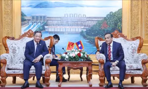 Thúc đẩy hợp tác giữa các địa phương Việt Nam và Lào