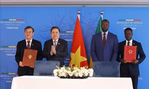 Chủ tịch Quốc hội và Thủ tướng Senegal chứng kiến Bộ, ngành, địa phương 2 nước ký kết hợp tác