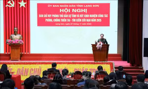 Xây dựng phương án phòng, chống thiên tai sát với thực tiễn
