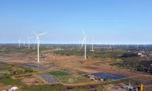 Lâm Đồng chấp thuận chủ trương đầu tư 2 tuyến đường dây 110kV trị giá 367 tỷ đồng