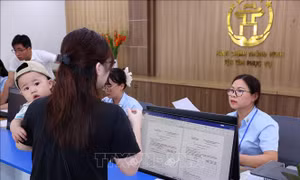 Hợp đồng thực hiện nhiệm vụ công chức - cơ chế mới để thu hút nguồn nhân lực chất lượng cao&nbsp;