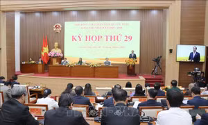 Thúc đẩy các động lực tăng trưởng mới