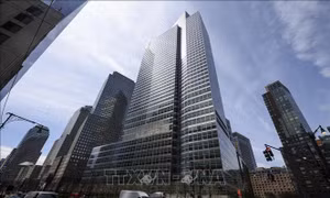 Chuyên gia nổi tiếng của Goldman Sachs tư vấn xu hướng đầu tư năm 2024
