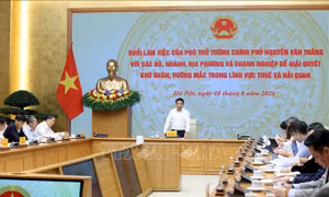 Phối hợp xử lý đến cùng các vướng mắc, không đẩy doanh nghiệp đi vòng