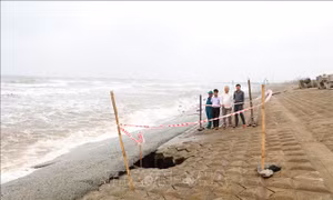 Khẩn cấp khắc phục điểm sạt, sụt tuyến đê, kè biển Ninh Bình