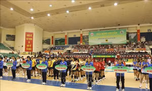 Khai mạc Giải bóng chuyền Cup Hoa Lư - Bình Điền lần thứ XX năm 2026