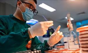 Bên trong phòng xét nghiệm vi sinh chẩn đoán bệnh lao