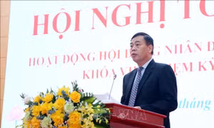 Tạo cơ sở pháp lý để phát triển kinh tế - xã hội