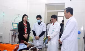 Góp sức cho Tết thêm vui, Xuân thêm đẹp