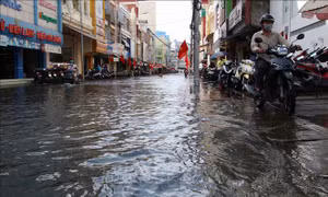 Triều cường ven biển Đông Nam Bộ ở mức cao, nguy cơ ngập vùng trũng, thấp
