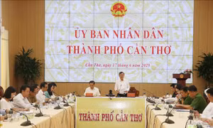 Tinh gọn bộ máy: Để chính quyền mới đồng bộ, hiệu quả
