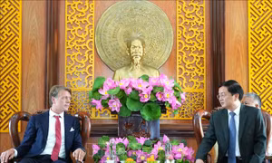 Cơ hội đầu tư dự án xử lý chất thải phát điện