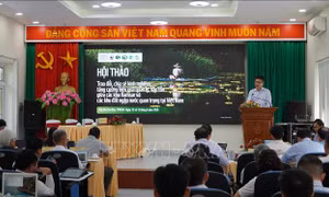 Bảo tồn vùng đất ngập nước trước nguy cơ suy thoái sinh cảnh
