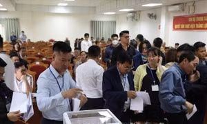 Thu hơn 250 tỷ đồng từ đấu giá 33 thửa đất tại Mê Linh