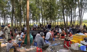 Triệt phá tụ điểm đá gà quy mô lớn
