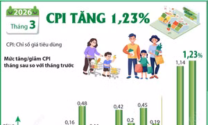 CPI tháng 3/2026 tăng 1,23%