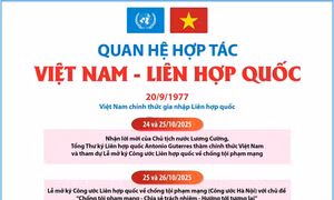 Quan hệ hợp tác Việt Nam - Liên hợp quốc