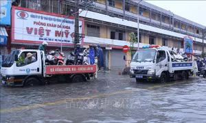 Sẵn sàng lực lượng, chủ động triển khai các phương án hộ đê