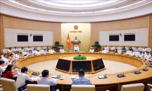 Phó Thủ tướng Thường trực Nguyễn Hòa Bình: Tích hợp 3 Chương trình mục tiêu quốc gia