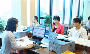 Xây dựng dự án sửa đổi 10 luật về thủ tục hành chính lĩnh vực nông nghiệp, môi trường theo thủ tục rút gọn