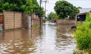 Thư thăm hỏi về lũ lụt gây thiệt hại nghiêm trọng ở Mozambique