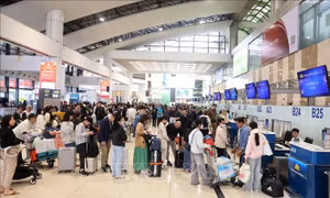 6.500 hành khách hàng không tại Việt Nam bị ảnh hưởng trong 7 ngày