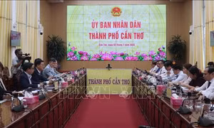 Cần Thơ và Hàn Quốc hợp tác về phát triển đô thị, trí tuệ nhân tạo, công nghiệp xanh