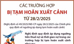 Các trường hợp bị tạm hoãn xuất cảnh từ 28/2/2025