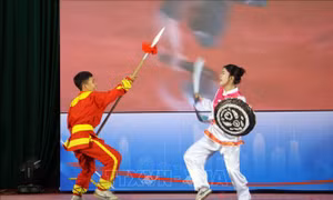 Liên hoan võ cổ truyền Bình Định