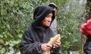 Tìm thấy ông cụ 78 tuổi lạc nhiều ngày trong rừng ở Lâm Đồng