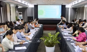 TP Hồ Chí Minh: Tư vấn pháp lý miễn phí giúp thực thi đầy đủ quyền trẻ em