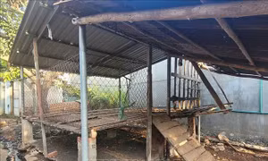 Tiếp tục di dời, chấm dứt hoạt động cơ sở chăn nuôi nằm ngoài quy hoạch, gây ô nhiễm