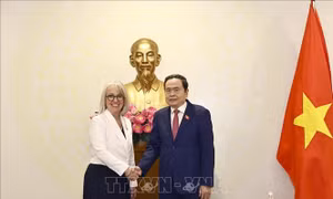 Chủ tịch Quốc hội Trần Thanh Mẫn tiếp Tổng Giám đốc Tổ chức quốc tế Pháp ngữ