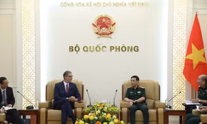 Việt Nam - Pháp thúc đẩy hợp tác quốc phòng trên nhiều lĩnh vực