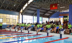 TP Hồ Chí Minh dẫn đầu Giải bơi, lặn vô địch quốc gia bể 25m