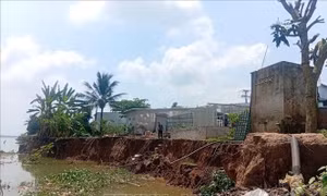 Bờ sông Tiền tiếp tục sạt lở, di dời 2 hộ dân