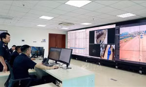 Năm 2024 đẩy mạnh chuyển đổi số quốc gia, tạo bứt phá phát triển kinh tế - xã hội