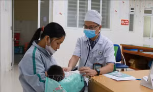 Đồng Nai đảm bảo đủ vaccine phòng bệnh bạch hầu