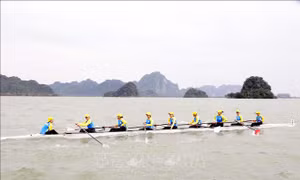 Trên 500 vận động viên tham gia giải đua thuyền quốc gia năm 2025