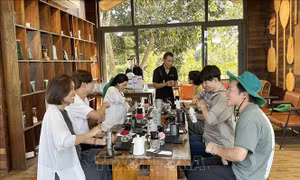 Đắk Lắk sẵn sàng phục vụ du khách đến với Lễ hội Cà phê Buôn Ma Thuột