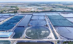 Nghị quyết 68-NQ/TW: Năm giải pháp để kinh tế tư nhân bứt phá