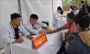 Nhiều hoạt động văn hóa ý nghĩa, tạo khí thế đón Xuân mới Ất Tỵ