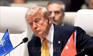 Bất đồng giữa Mỹ và các đồng minh phủ bóng Hội nghị thượng đỉnh NATO
