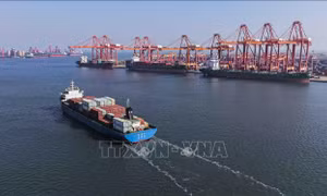 Trung Quốc mua lô hàng lúa mì đầu tiên từ Mỹ kể từ năm 2024