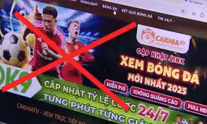 Khởi tố 23 đối tượng điều hành các trang web phát lậu, quảng cáo cá độ bóng đá