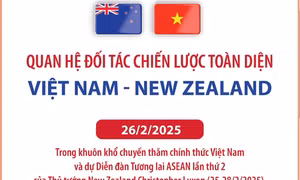 Quan hệ Đối tác chiến lược toàn diện Việt Nam - New Zealand