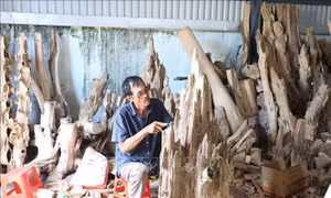 Hương trầm lan tỏa ngày Xuân